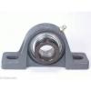 FHPW205-13 Pillow Block Cast Iron Light Duty 13/16&#034; Inch Ball Bearings Rolling