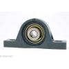 UCLP206-19 Bearing Pillow Block Medium Duty 1 3/16&#034; Ball Bearings Rolling